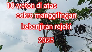 10 weton banjir rejeki di puncak Cokro manggilingan tahun 2025 [upl. by Ahsekan]