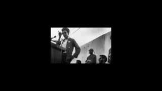 H Rap Brown  The Politics of Education [upl. by Meave456]