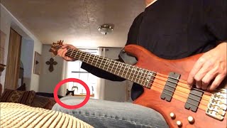 Raise a Hallelujah  Bethel Music feat Cat Bass CoverTutorial [upl. by Aiciram]