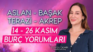 1426 Kasım Burç Yorumları  AslanBaşakTeraziAkrep  Astroloji Gurusu [upl. by Thordis]