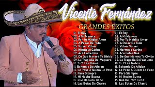 20 Vicente Fernandez Exitos Mix Rancheras Y Corridos Mexicanas💕💕 [upl. by Wilonah]