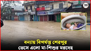 পাহাড়ি ঢলে বিপর্যস্ত শেরপুর  Flood News  Sherpur  Mymensingh  Ajker Darpon [upl. by Airenahs26]