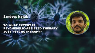 To what extent is psychedelicassisted therapy just psychotherapy – Sandeep Nayak [upl. by Naujid]