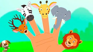 Finger Family amp More Nursery Rhymes for Babies [upl. by Idarb]