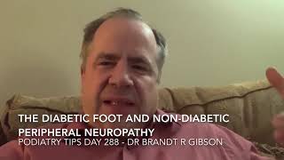 The Diabetic Foot and NonDiabetic Peripheral Neuropathy [upl. by Gnut472]