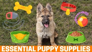 10 Essential Supplies for your New German Shepherd Puppy [upl. by Acimak779]