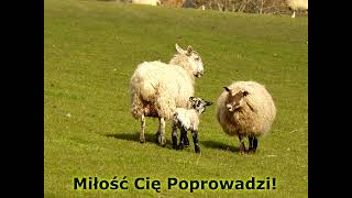 Miłość Cię Poprowadzi [upl. by Mandell]