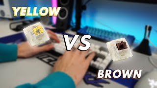 Gateron Yellow vs Gateron Brown Switches  ASMR Typing Sound Test [upl. by Eseenaj]