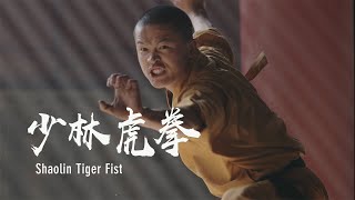 The imitation of the tigers movements Shaolin tiger fist  少林虎拳：勇猛强劲，百炼成钢 [upl. by Abbub485]