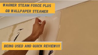 Review of the Wagner Steam Force Plus GB Wallpaper Steamer [upl. by Adnahcir958]