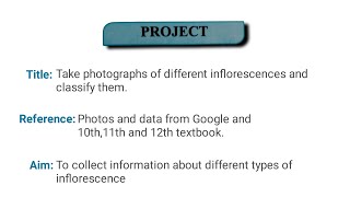 Different types of inflorescence Biology project class 11th amp 12th [upl. by Nonek]