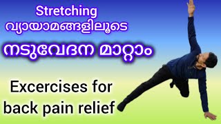 നടുവേദന മാറ്റാൻ stretching വ്യായാമങ്ങൾexercises for back pain relief [upl. by Iah905]