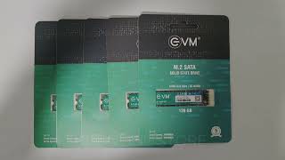 EVM M2 2280 128GB SSD  Fast Performaning SATA Internal [upl. by Aiciled653]