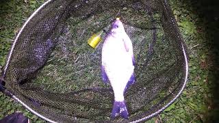 A windy evening at Potter Heigham after bream Feeder fishing Norfolk broads on the river Thurne [upl. by Anekam]