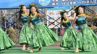 Mahalo E Hilo Hanakahi Kuu Nalani Hula Studio vol4 辻堂駅開設１００周年記念イベント 2016 [upl. by Acker284]