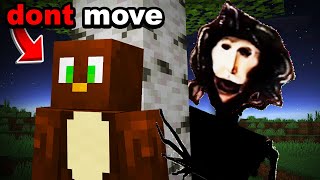 If you see TOE on your Minecraft World DONT MOVE [upl. by Lemuela]