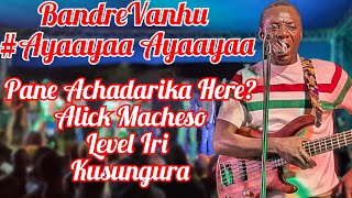 Pane Achadarika Here💥 Alick Macheso🎸 Level Iri KuSungura💥 Tiudzei Tinzwe Kut Ndiani🎸1tranding [upl. by Su]