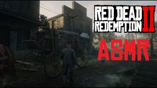 Red Dead Redemption 2 ASMR  Van Horn  Annesburg  Relaxing Stagecoach Trip Through Roanoke Ridge [upl. by Anerrol]