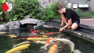 DIY beautiful outdoor Koi aquarium [upl. by Aspa]