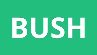 How To Pronounce Bush  Pronunciation Academy [upl. by Janka901]