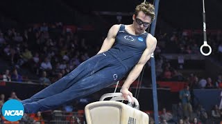 USA Mens Gymnastics Stephen Nedorosciks 2017 and 2018 NCAA pommel horse titles [upl. by Lorine449]