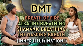 INNER ILLUMINATION POWERFUL DMT BREATHING EXERCISES TO INCREASE LIFE FORCE ENERGY [upl. by Yllor635]