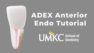 ADEX Anterior Endo Tutorial  UMKC School of Dentistry  Dr Blake Clarke [upl. by Brantley]