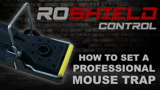 How to set a Roshield Professional Mouse Trap [upl. by Etak29]