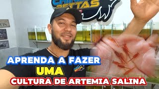 CULTURA DE ARTÊMIAS SALINA  APRENDA A FAZER [upl. by Seda]