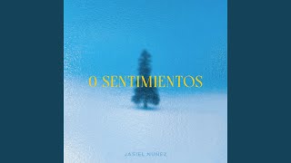 0 Sentimientos [upl. by Nosnar]