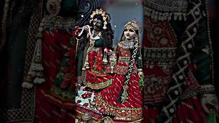 Parmanand ji maharaj parmanandji jaiparm shriharivansh radharani radhapriya youtubeshorts [upl. by Kandace]