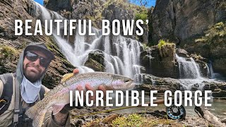 Blue Waterholes Trip  Part 2  Hiking and Fly Fishing Through a Spectacular Gorge [upl. by Elatsyrc]