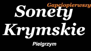 quot Pielgrzymquot  Adam Mickiewicz Sonety Krymskie [upl. by Alded802]