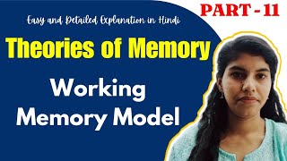 Working memory model  Theories of memory [upl. by Gone566]