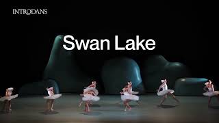 Introdans  Familievoorstelling Swan Lake  za 17 feb  Schouwburg Amstelveen [upl. by Retxab723]