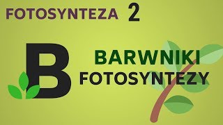 BARWNIKI FOTOSYNTEZY  fotosynteza  KOREPETYCJE z BIOLOGII  56 [upl. by Sou]