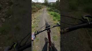 Turn and Burn Glentress MTB Trail Part 2 [upl. by Hcirdeirf76]