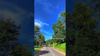 University Of Peradeniya nature travel kandy peace natural relax uop peradeniya [upl. by Eidoow]