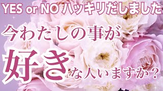 ガチ⚠️YES or NO ハッキリ。今私の事が好きな人はいますか？信じられない結果に。個人鑑定級 恋愛タロット占い ルノルマン オラクルカード細密リーディング [upl. by Guenna]