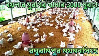 বয়লার মুরগির খামার 3000 মুরগি রঘুরামপুর ময়মনসিংহ  Boiler murgi khamar [upl. by Witcher874]