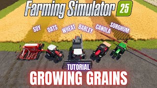 GROWING GRAINS  TUTORIAL  Farming Simulator 25 [upl. by Aderb]