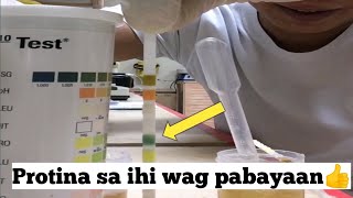 IBA ANG FOAMY SA NORMAL NA BULA NG IHI PROTINA SA IHI WAG BALEWALAIN KABAYAN [upl. by Casia]