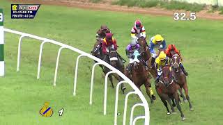 RANQUELINO THE TRACK LIGHTNING STAKES DIVII 10 [upl. by Ervine508]