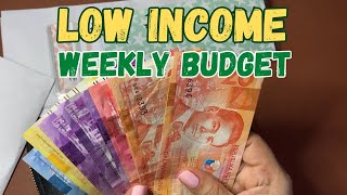 Low Income Budget  Weekly Salary  Emergency Fund [upl. by Aicnetroh]