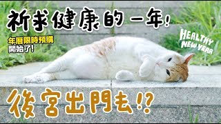 【黃阿瑪的後宮生活】祈求健康的一年！後宮出門去！？ [upl. by Serafina]