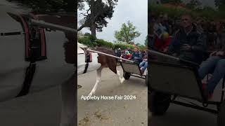 Appleby Horse Fair 2024 [upl. by Fradin]