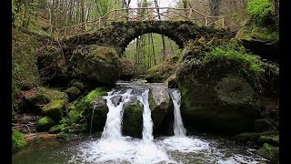 Exploring the Mullerthal Trail Luxembourg [upl. by Anawak660]