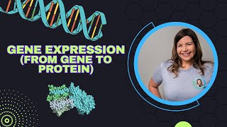 Gene Expression From Gene to Protein Biology Ch 17 [upl. by Carce221]