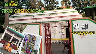 କାର୍ତ୍ତିକ ମାସର ଶେଷ ସୋମବାର  My Village Tample  Baba Mukteshwar Swami  Namakirtana Borasingi [upl. by Oiluarb]