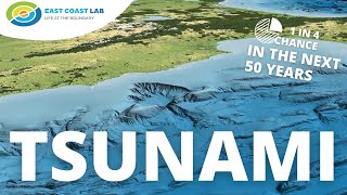 The Hikurangi Subduction Zone  Scientists explain their work on NZs largest fault [upl. by Annahvas]